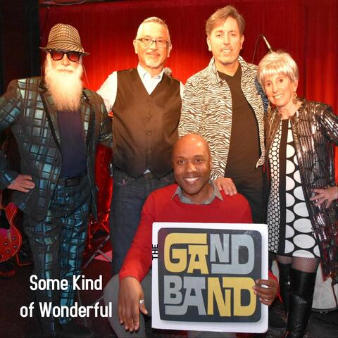 Some Kind of Wonderful