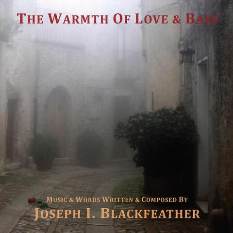 The Warmth of Love & Bass