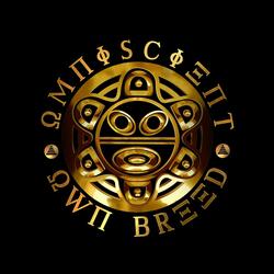 Contradiction "Intro" (feat. The Zu)