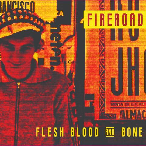 Flesh Blood & Bone