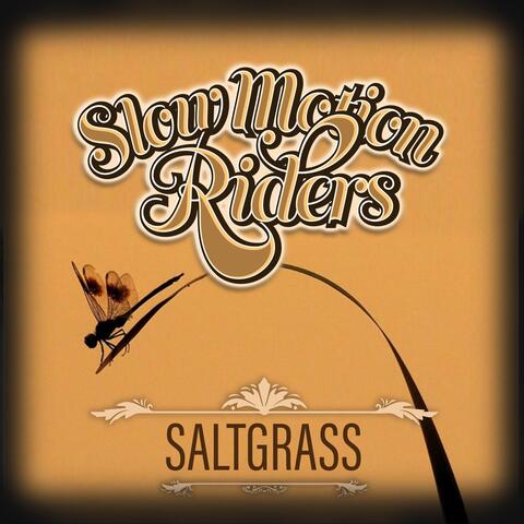 Saltgrass