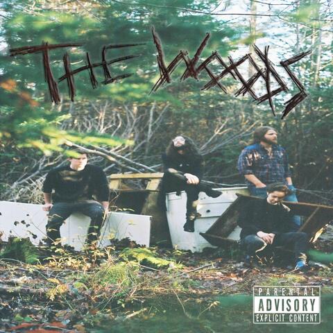 The Woods