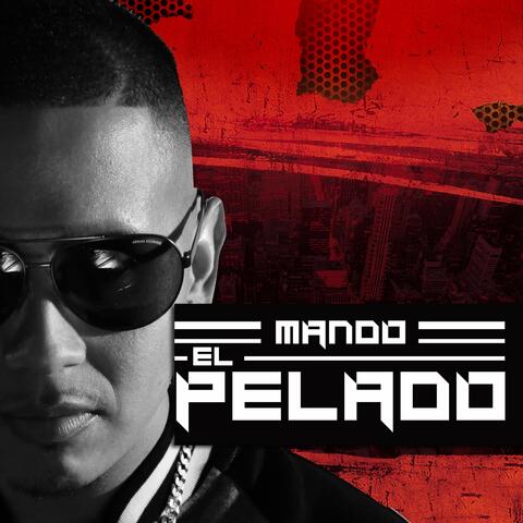 Mando el Pelado