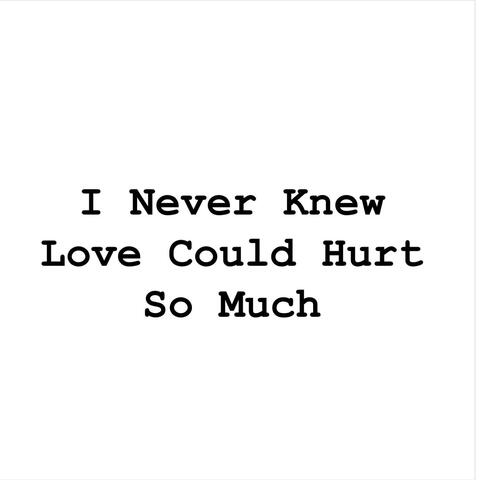 I Never Knew Love Could Hurt so Much