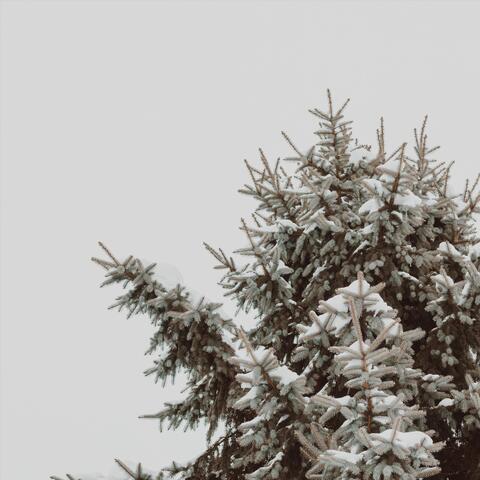 See Me (Instrumental)