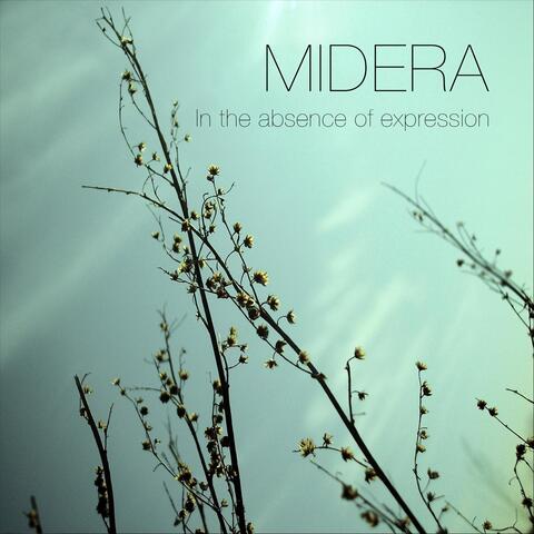 In the Absence of Expression