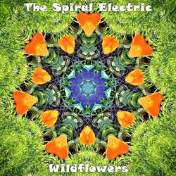 Wildflowers