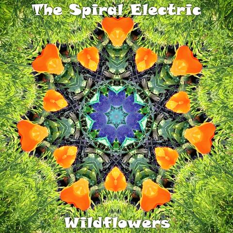 Wildflowers