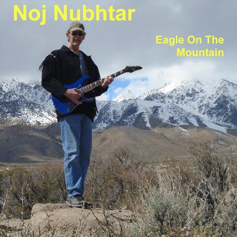 Eagle on the Mountain