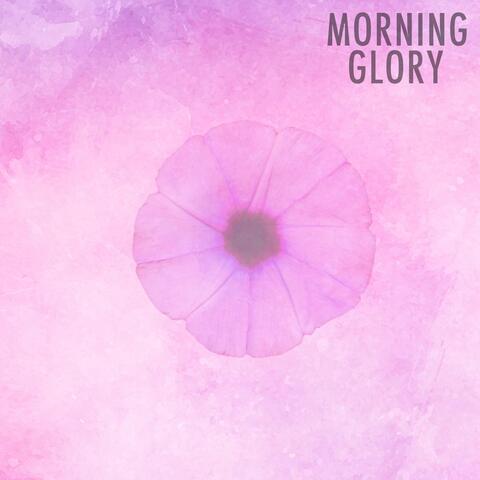 Morning Glory
