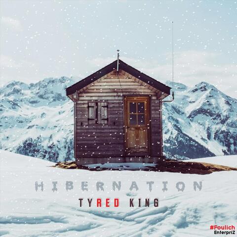 Hibernation