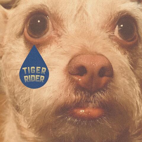 Tiger Rider