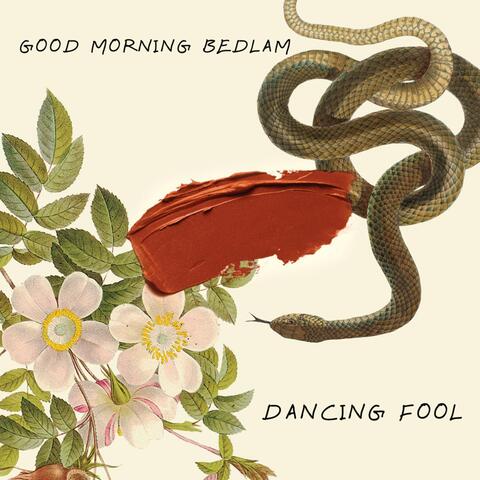 Dancing Fool