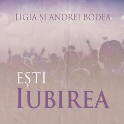 Te Voi Vedea