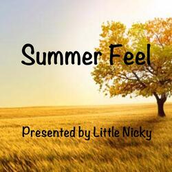 Summer Feel