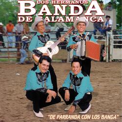 Ya Estan Cantando los Gallos