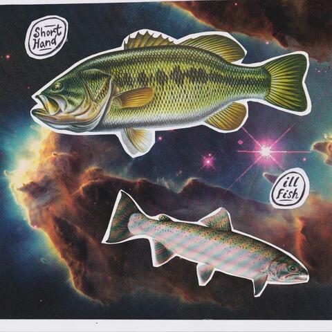 Ill Fish