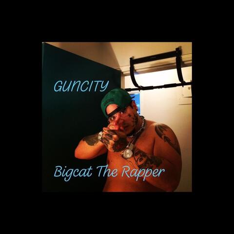 Guncity