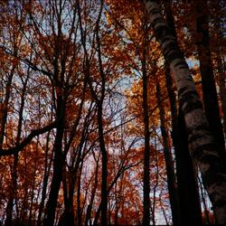 When Will This End (Acoustic)