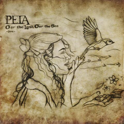 O'er the Land O'er the Sea (Live) [feat. David Brown, Biko Casini & Rising Appalachia]