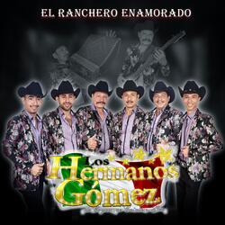 De Regreso a Mi Tierra