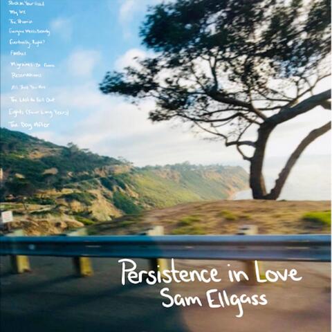Persistence in Love