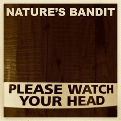 Please Watch Your Head (Instrumental)