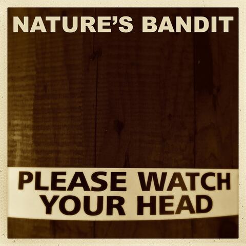 Please Watch Your Head (Instrumental)