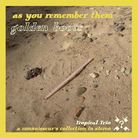 As You Remember Them