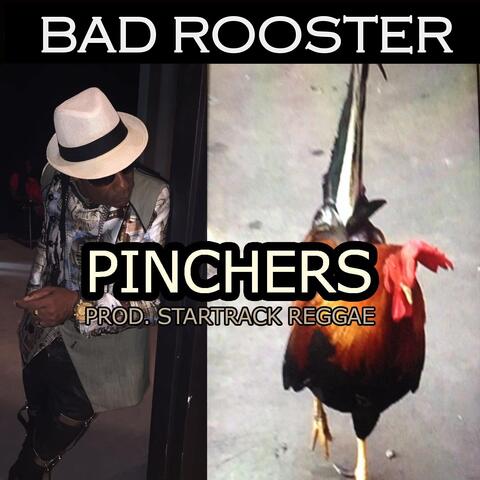 Bad Rooster