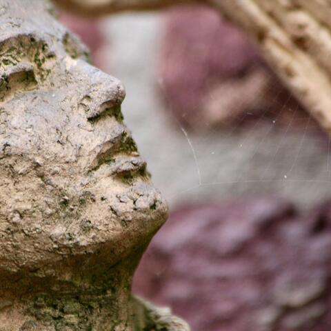 Between Monastery and Convent