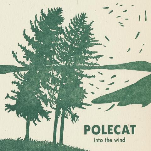 Into the Wind