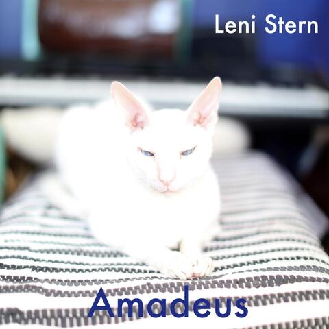 Amadeus (feat. Leo Genovese, Mamadou Ba & Alioune Faye)