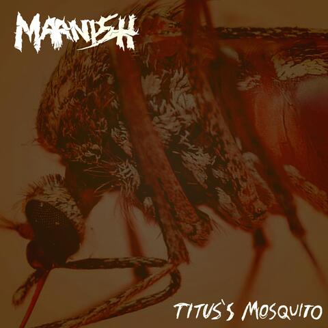 Titus's Mosquito Ls