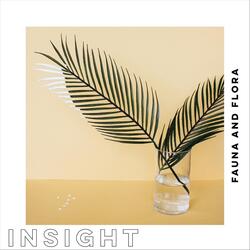 Insight