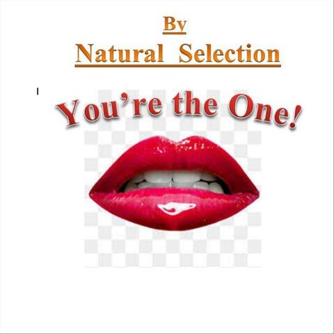 You're the One!