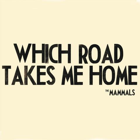 Which Road Takes Me Home