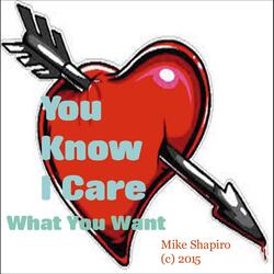 You Know I Care What You Want