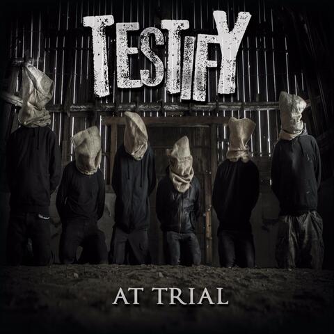 At Trial