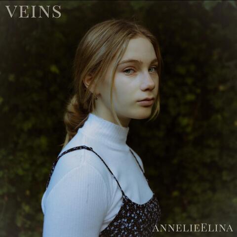 Veins