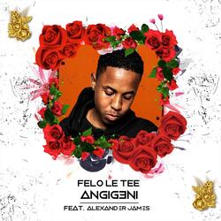 Angigeni (feat. Alexander James)