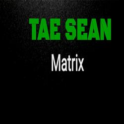 Matrix