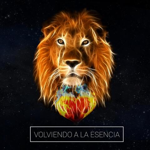 Volviendo a la Esencia