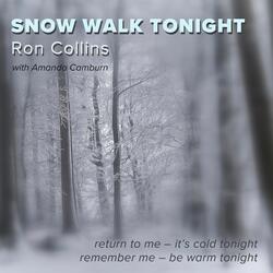 Snow Walk Tonight (feat. Amanda Camburn)