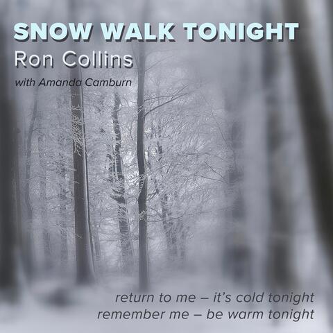 Snow Walk Tonight (feat. Amanda Camburn)