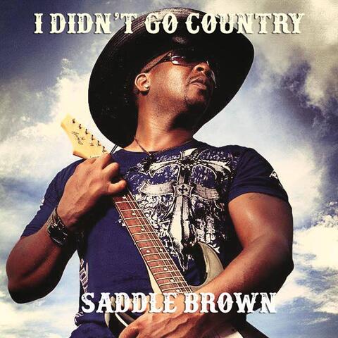 I Didn't Go Country