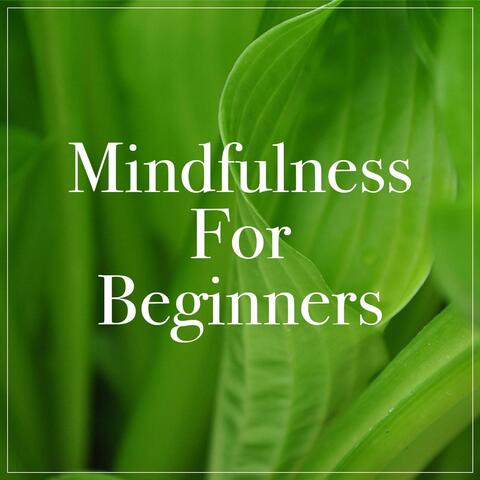 Mindfulness for Beginners