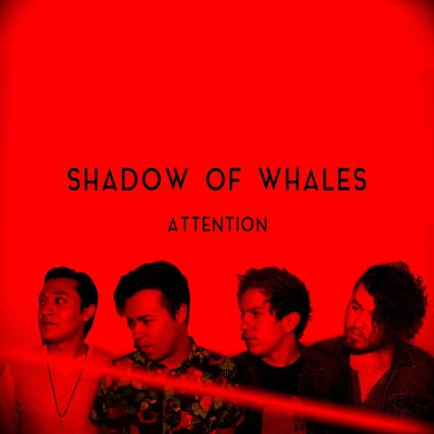 Attention