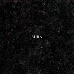 Burn