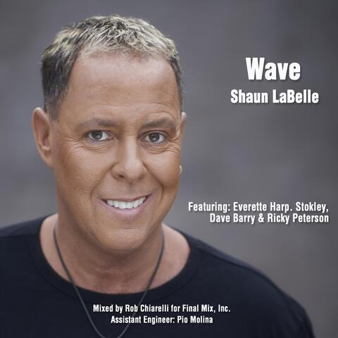 Wave (feat. Everette Harp, Stokley, Ricky Peterson &  Dave Barry)
